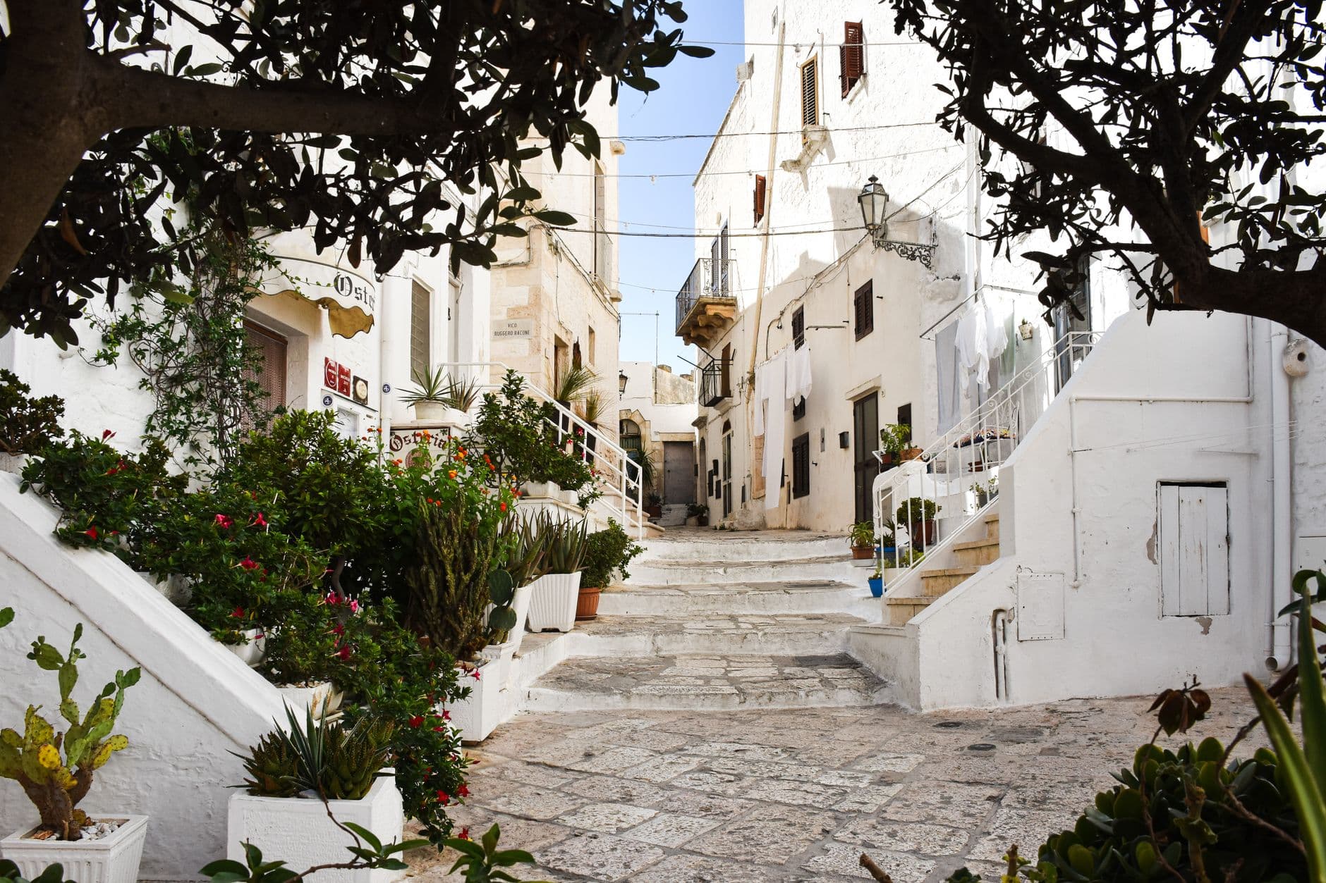 Le centre historique blanc d'Ostuni étagé sur sa colline face à la campagne