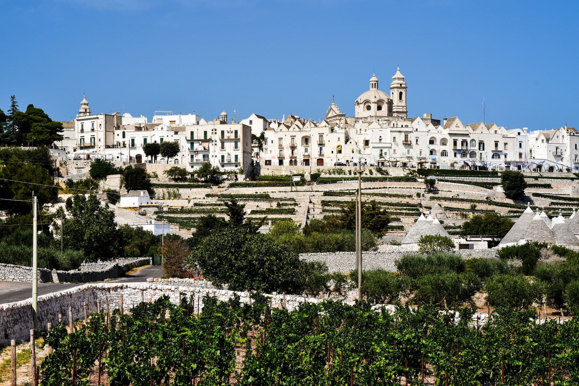 Verres de Primitivo rouge intense devant des rangs de vignes des Pouilles