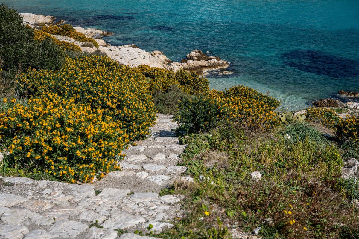La côte près d'Otranto