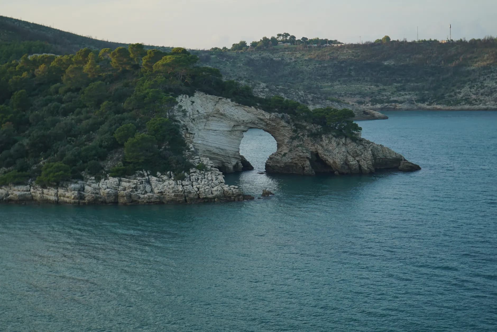 Gargano : le guide de Vieste, Forêt Umbra et Tremiti