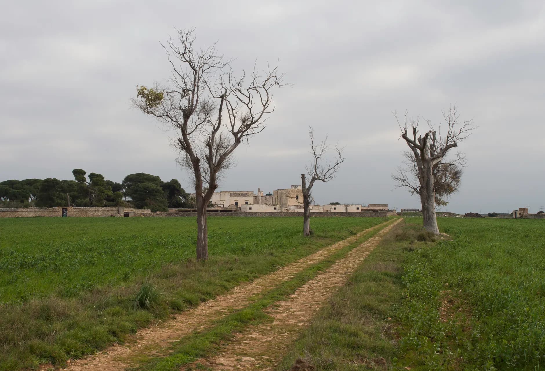 Canosa di Puglia : musée archéologique et sites à réserver